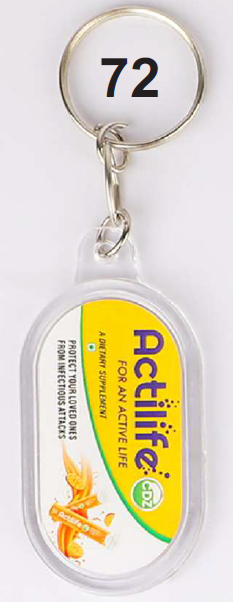 PLASTIC DIGITAL STICKER KEY CHAIN
